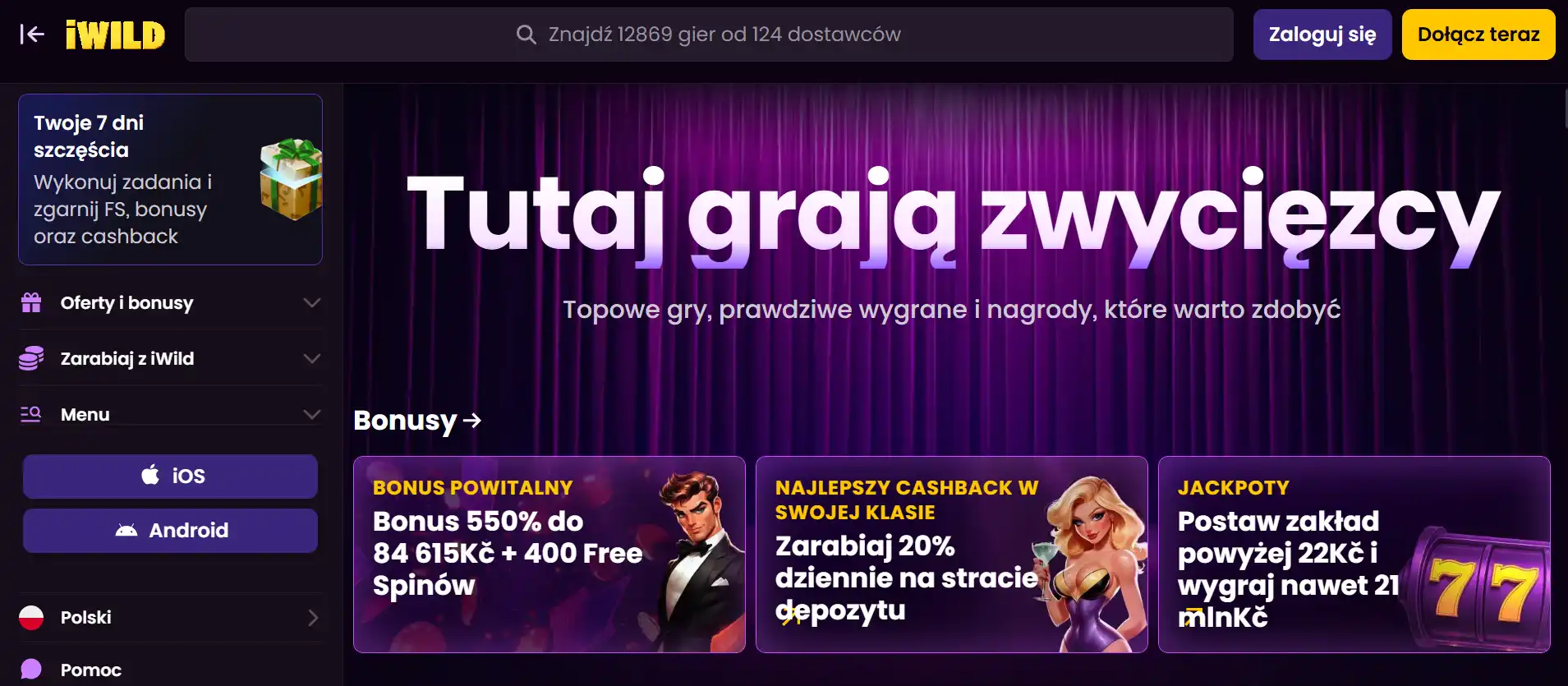Rzeczywisty ekran strony iWild lub sekcji kasjera